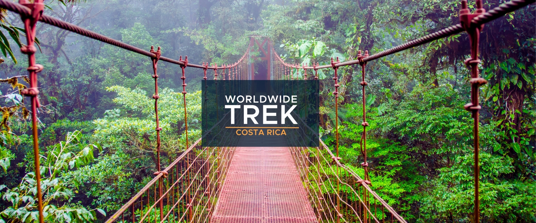 A suspended bridge in a Costa Rica jungle